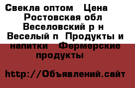 Свекла оптом › Цена ­ 7 - Ростовская обл., Веселовский р-н, Веселый п. Продукты и напитки » Фермерские продукты   